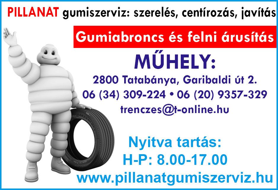 Pillanat Gumiszerviz